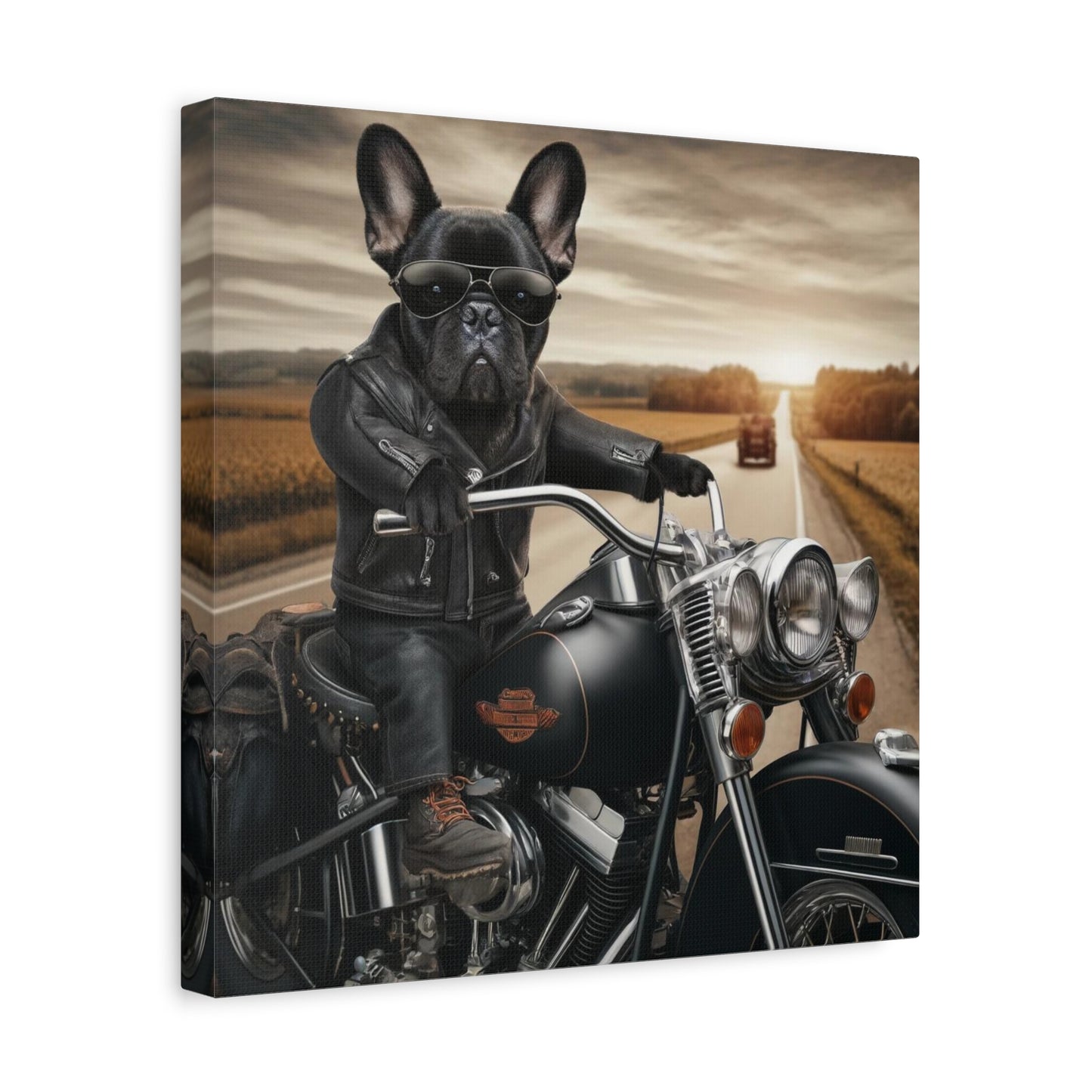 Biker Frenchie-Matte Canvas, Stretched, 14x14