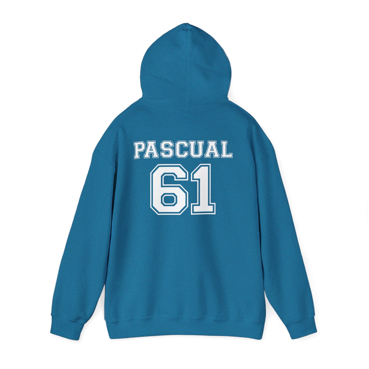 Shrikes Unisex Sports Team Hoodie, Casual Wear for Fans, Personalized Sweatshirt, College Spirit Gear, Gift for Athletes, Sports Apparel